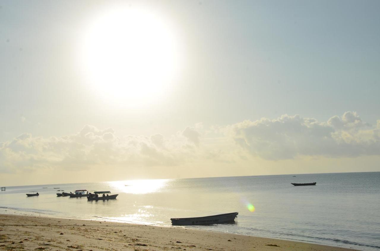 Lui Ushongo Beach House Pangani 외부 사진